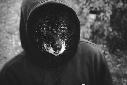 Нажмите на изображение для увеличения
Название: x_32e252cc.jpg
Просмотров: 177
Размер:	46.9 Кб
ID:	40636