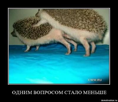 Нажмите на изображение для увеличения
Название: x_4a77df81.jpg
Просмотров: 213
Размер:	30.6 Кб
ID:	4085