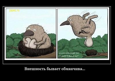 Нажмите на изображение для увеличения
Название: x_58255a4e.jpg
Просмотров: 191
Размер:	45.2 Кб
ID:	4101