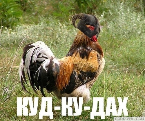 Нажмите на изображение для увеличения
Название: x_8646e252.jpg
Просмотров: 109
Размер:	98.7 Кб
ID:	41696