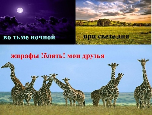 Нажмите на изображение для увеличения
Название: x_f9514c97.jpg
Просмотров: 109
Размер:	75.2 Кб
ID:	41793