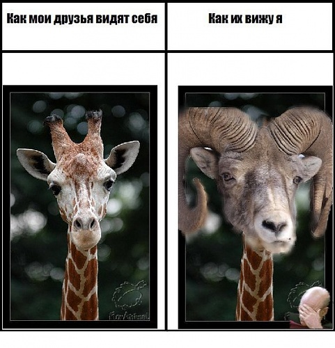 Нажмите на изображение для увеличения
Название: x_e1e2e4d1.jpg
Просмотров: 214
Размер:	73.0 Кб
ID:	41967