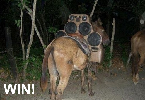 Название: horse-audio-kit-e1313612561664.jpg
Просмотров: 1484

Размер: 103.3 Кб