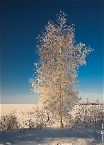 Нажмите на изображение для увеличения
Название: bfoto_ru_1412.jpg
Просмотров: 146
Размер:	184.5 Кб
ID:	43110