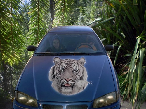 Нажмите на изображение для увеличения
Название: prim3_3.jpg
Просмотров: 111
Размер:	99.0 Кб
ID:	43489