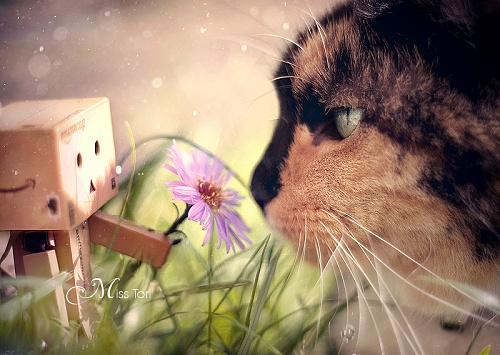 Нажмите на изображение для увеличения
Название: 20.jpg
Просмотров: 190
Размер:	544.9 Кб
ID:	43624