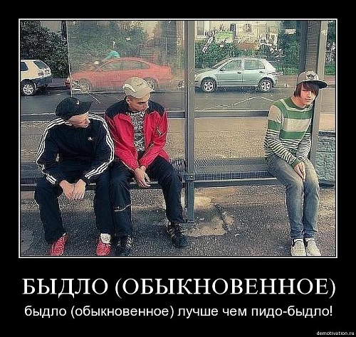 Нажмите на изображение для увеличения
Название: dgft5p00xk1f.jpg
Просмотров: 218
Размер:	100.8 Кб
ID:	44613