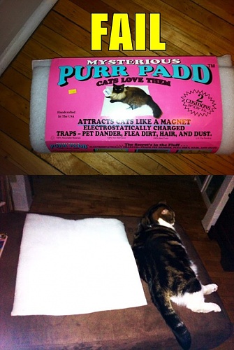 Нажмите на изображение для увеличения
Название: epic-fail-fail-nation-cats-love-them-fail.jpg
Просмотров: 191
Размер:	86.3 Кб
ID:	45162