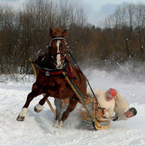 Название: StopKadri-26.jpg
Просмотров: 1066

Размер: 211.9 Кб