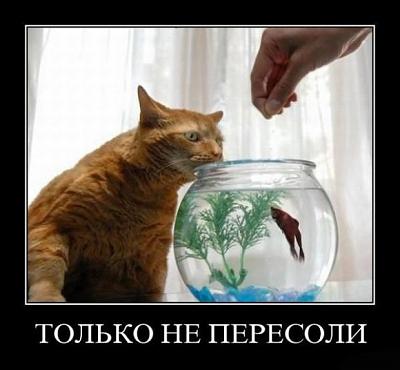 Нажмите на изображение для увеличения
Название: demotivatory_25523_s__1.jpg
Просмотров: 182
Размер:	80.6 Кб
ID:	4543