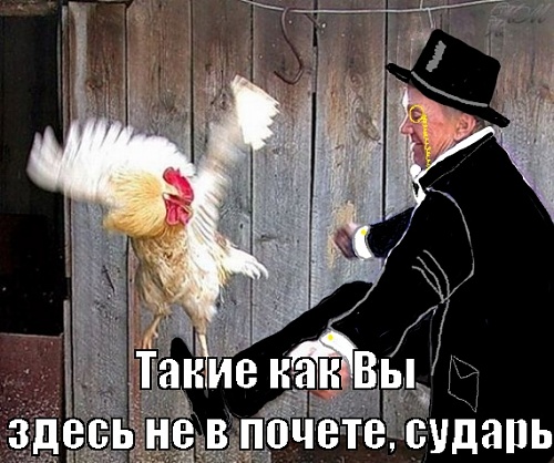 Нажмите на изображение для увеличения
Название: 391858940.jpg
Просмотров: 283
Размер:	112.7 Кб
ID:	45810