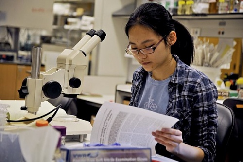 Нажмите на изображение для увеличения
Название: mimi-yen.jpg
Просмотров: 149
Размер:	59.0 Кб
ID:	48379