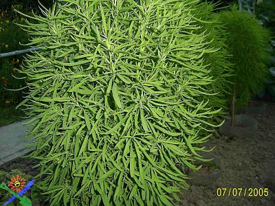 Нажмите на изображение для увеличения
Название: image013.jpg
Просмотров: 266
Размер:	227.9 Кб
ID:	4968