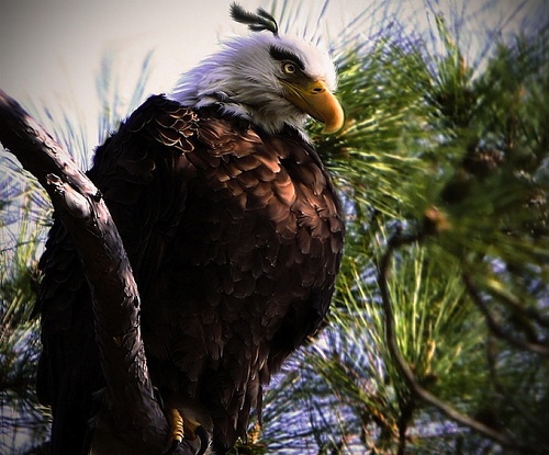 Нажмите на изображение для увеличения
Название: 8.jpg
Просмотров: 138
Размер:	254.6 Кб
ID:	49735