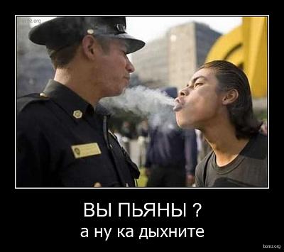 Нажмите на изображение для увеличения
Название: 221400-2010.04.27-10.55.44-photopodborka_0084.jpg
Просмотров: 211
Размер:	117.9 Кб
ID:	5010
