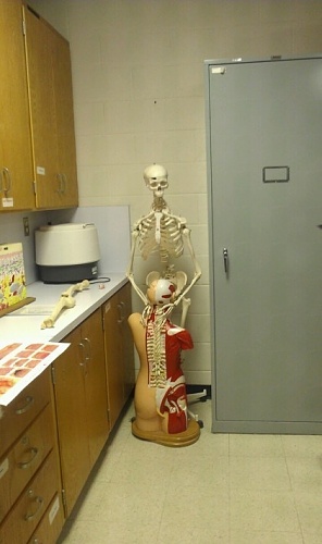 Нажмите на изображение для увеличения
Название: epic-win-photos-anatomy-class-win.jpg
Просмотров: 155
Размер:	122.5 Кб
ID:	50439