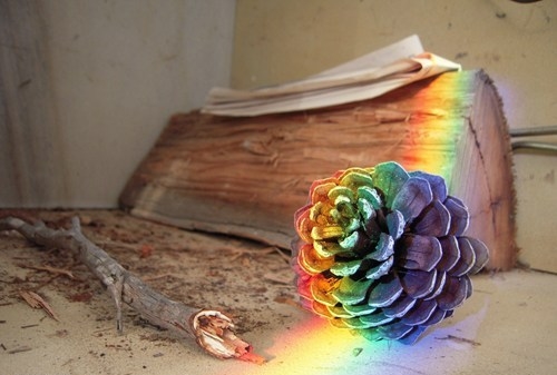 Название: epic-win-photos-rainbow-cone-win.jpg
Просмотров: 1015

Размер: 93.6 Кб