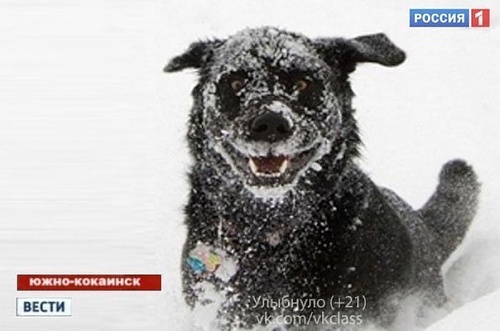 Нажмите на изображение для увеличения
Название: x_911a323f.jpg
Просмотров: 150
Размер:	41.8 Кб
ID:	51220