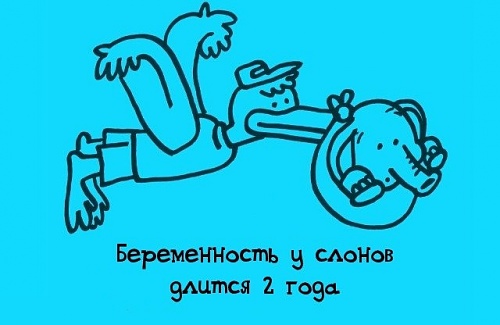 Нажмите на изображение для увеличения
Название: 009ad19a.jpg
Просмотров: 123
Размер:	54.9 Кб
ID:	52369