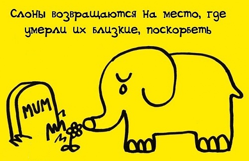 Нажмите на изображение для увеличения
Название: 009b2s14.jpg
Просмотров: 119
Размер:	69.3 Кб
ID:	52387