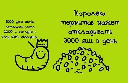 Нажмите на изображение для увеличения
Название: 009b53q9.jpg
Просмотров: 126
Размер:	63.9 Кб
ID:	52390