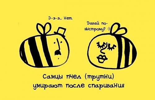 Нажмите на изображение для увеличения
Название: 009bhha3.jpg
Просмотров: 128
Размер:	56.5 Кб
ID:	52402