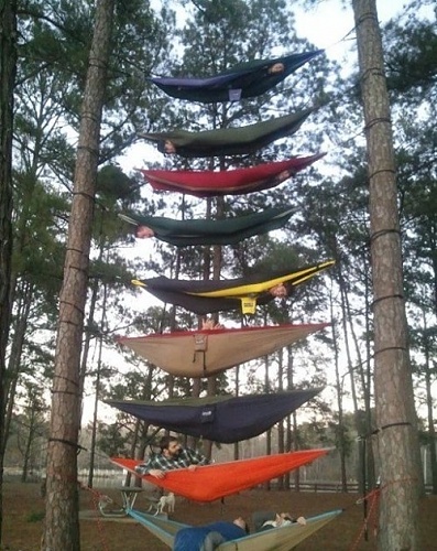 Нажмите на изображение для увеличения
Название: epic-win-photos-camping-out-win1.jpg
Просмотров: 186
Размер:	234.7 Кб
ID:	53124