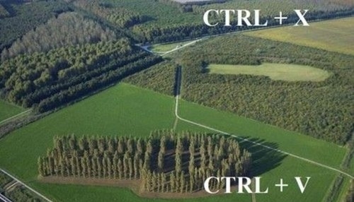 Название: epic-win-photos-cut-and-paste-win.jpg
Просмотров: 982

Размер: 92.3 Кб