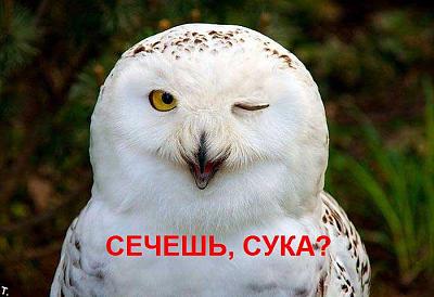Название: 1290980518321.jpg
Просмотров: 335

Размер: 20.8 Кб