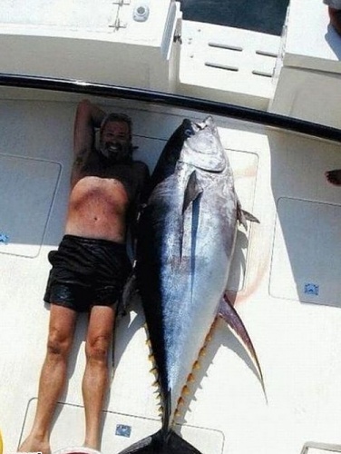 Нажмите на изображение для увеличения
Название: epic-win-photos-this-big-win.jpg
Просмотров: 176
Размер:	89.5 Кб
ID:	55722