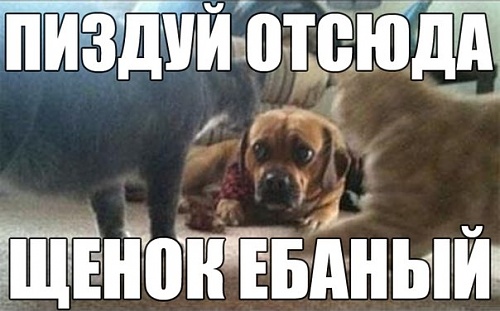 Нажмите на изображение для увеличения
Название: tbCbtqrKLHo.jpg
Просмотров: 180
Размер:	47.6 Кб
ID:	56465