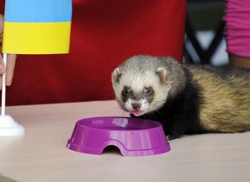 Нажмите на изображение для увеличения
Название: 20120615161428_3.jpg
Просмотров: 104
Размер:	18.6 Кб
ID:	56918