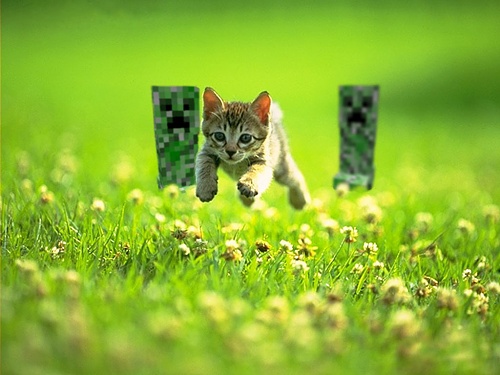 Нажмите на изображение для увеличения
Название: 20110530-052343_wallbase.cc.jpg
Просмотров: 194
Размер:	126.7 Кб
ID:	57286