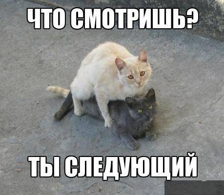 Название: okbWHDiGdJc.jpg
Просмотров: 461

Размер: 37.0 Кб