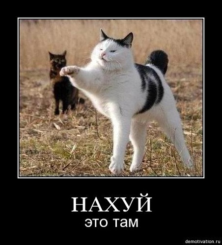 Нажмите на изображение для увеличения
Название: 65hydleu5ph3.jpg
Просмотров: 130
Размер:	35.4 Кб
ID:	58106