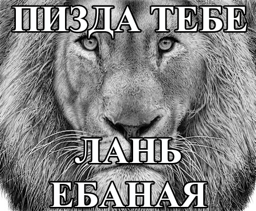 Название: QfCSEDp6LlI.jpg
Просмотров: 463

Размер: 228.3 Кб