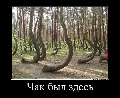 Нажмите на изображение для увеличения
Название: y_0a90d29b.jpg
Просмотров: 79
Размер:	119.9 Кб
ID:	59164