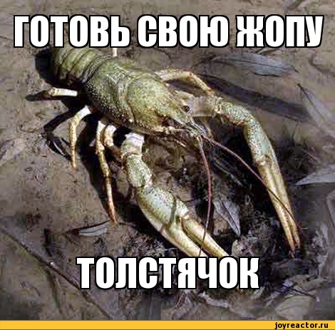 Название: memegenerator-1341735236522068.jpg
Просмотров: 2300

Размер: 138.5 Кб