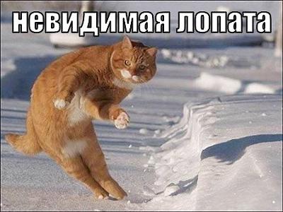 Нажмите на изображение для увеличения
Название: x_6e7bc10c.jpg
Просмотров: 199
Размер:	38.4 Кб
ID:	5984