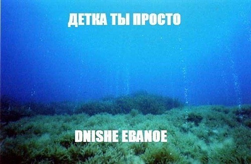 Название: 1340064992898.jpg
Просмотров: 260

Размер: 64.8 Кб