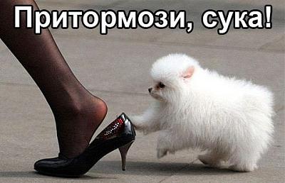 Нажмите на изображение для увеличения
Название: x_3595507e.jpg
Просмотров: 180
Размер:	33.9 Кб
ID:	5992