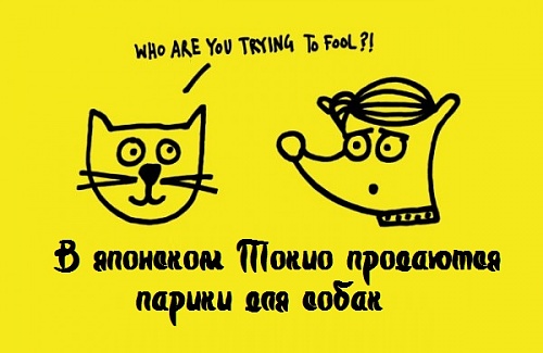 Нажмите на изображение для увеличения
Название: 1338713065_18.jpg
Просмотров: 185
Размер:	58.2 Кб
ID:	61511