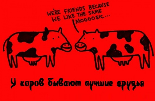 Нажмите на изображение для увеличения
Название: 1338713073_15.jpg
Просмотров: 186
Размер:	50.2 Кб
ID:	61514