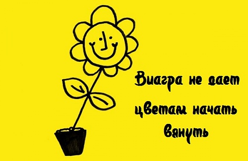 Нажмите на изображение для увеличения
Название: 1338713120_19.jpg
Просмотров: 182
Размер:	44.9 Кб
ID:	61515
