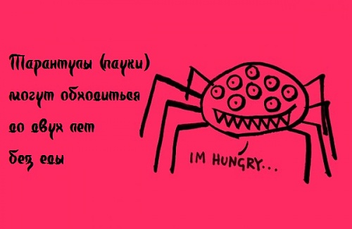 Нажмите на изображение для увеличения
Название: 1338713124_22.jpg
Просмотров: 178
Размер:	43.4 Кб
ID:	61519