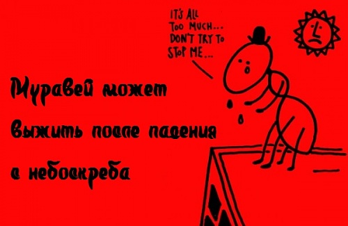 Нажмите на изображение для увеличения
Название: 1338713129_17.jpg
Просмотров: 182
Размер:	47.9 Кб
ID:	61523