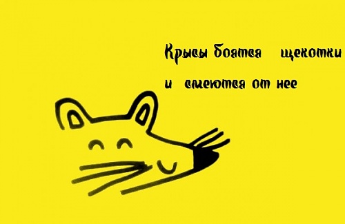 Нажмите на изображение для увеличения
Название: 1338713094_12.jpg
Просмотров: 172
Размер:	34.9 Кб
ID:	61524