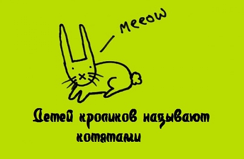 Нажмите на изображение для увеличения
Название: 1338713097_16.jpg
Просмотров: 187
Размер:	38.0 Кб
ID:	61526