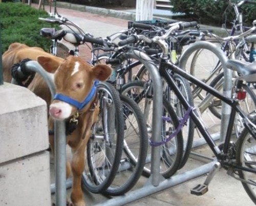 Название: 9jm6eOFjCEm5v3431NV1TA2.jpg
Просмотров: 852

Размер: 129.4 Кб