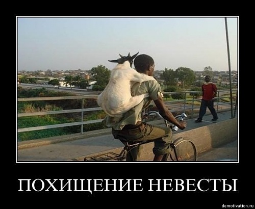 Нажмите на изображение для увеличения
Название: 3ZL4FD9mEtY.jpg
Просмотров: 125
Размер:	40.6 Кб
ID:	61603